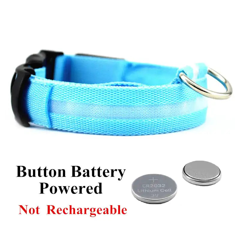 Adjustable LED Pet Collar Rechargeable or Battery Operated