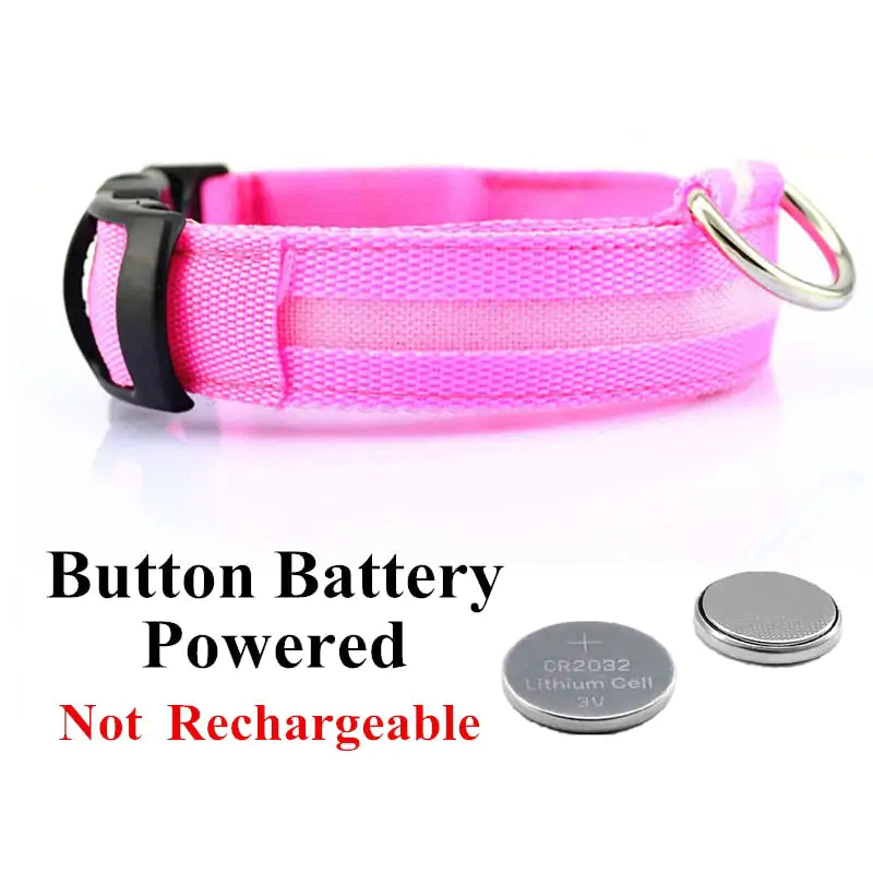 Adjustable LED Pet Collar Rechargeable or Battery Operated