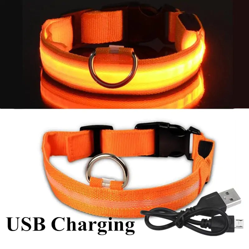 Adjustable LED Pet Collar Rechargeable or Battery Operated