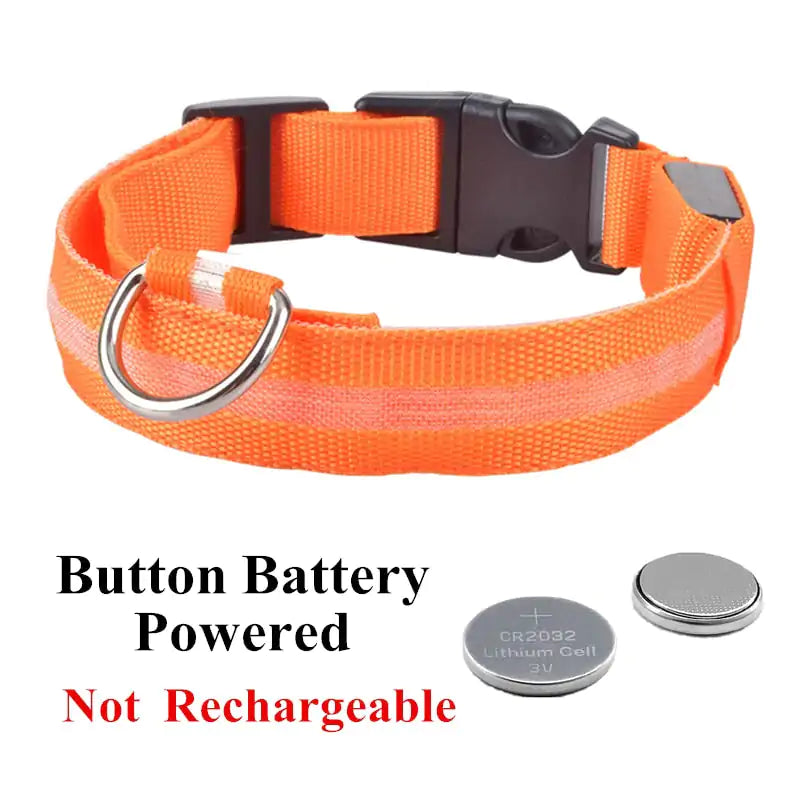 Adjustable LED Pet Collar Rechargeable or Battery Operated