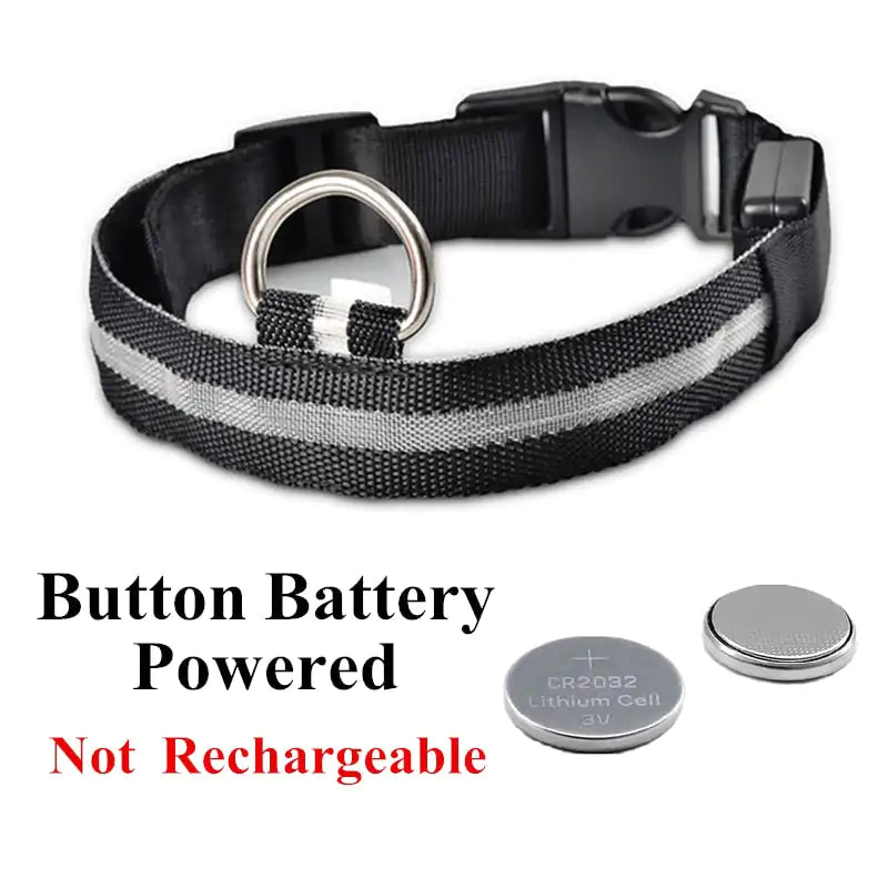 Adjustable LED Pet Collar Rechargeable or Battery Operated