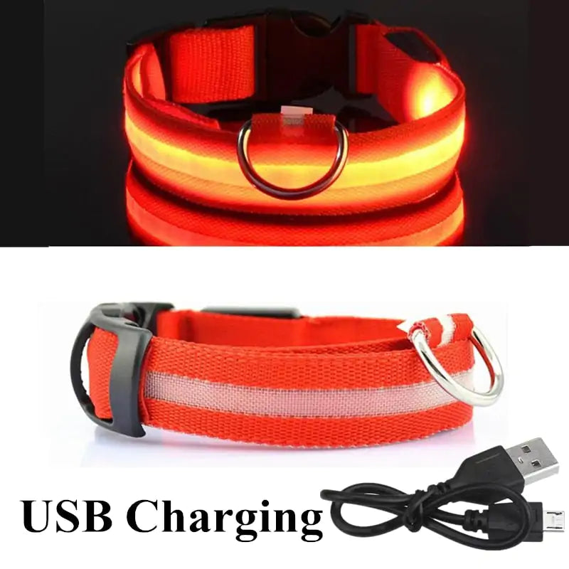 Adjustable LED Pet Collar Rechargeable or Battery Operated