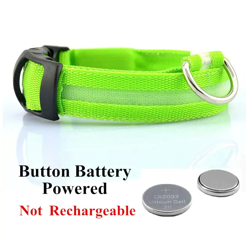 Adjustable LED Pet Collar Rechargeable or Battery Operated