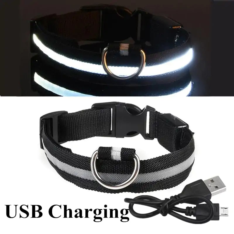 Adjustable LED Pet Collar Rechargeable or Battery Operated