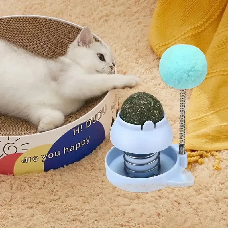 Catnip Licking Balls Edible And Healthy With Spring Toy