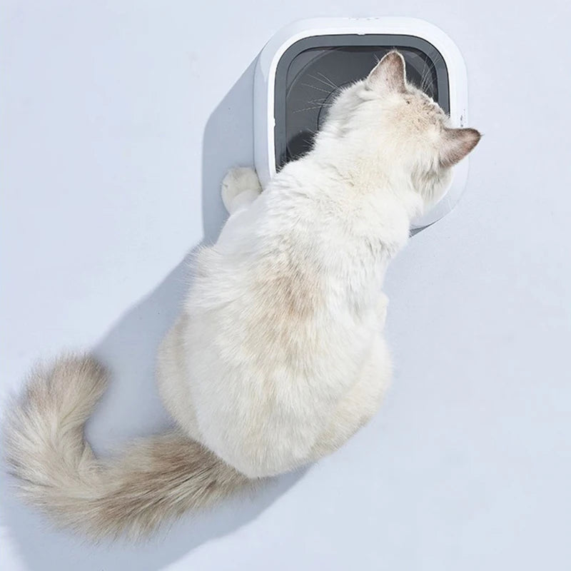 1.5L Dog Drinking Water Bowls Floating Non-Wetting Mouth Cat Slow Anti-Overflow Water Feeding Dispenser Large Capacity