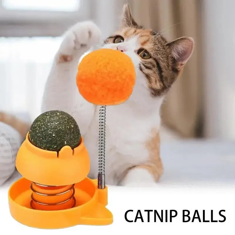 Catnip Licking Balls Edible And Healthy With Spring Toy