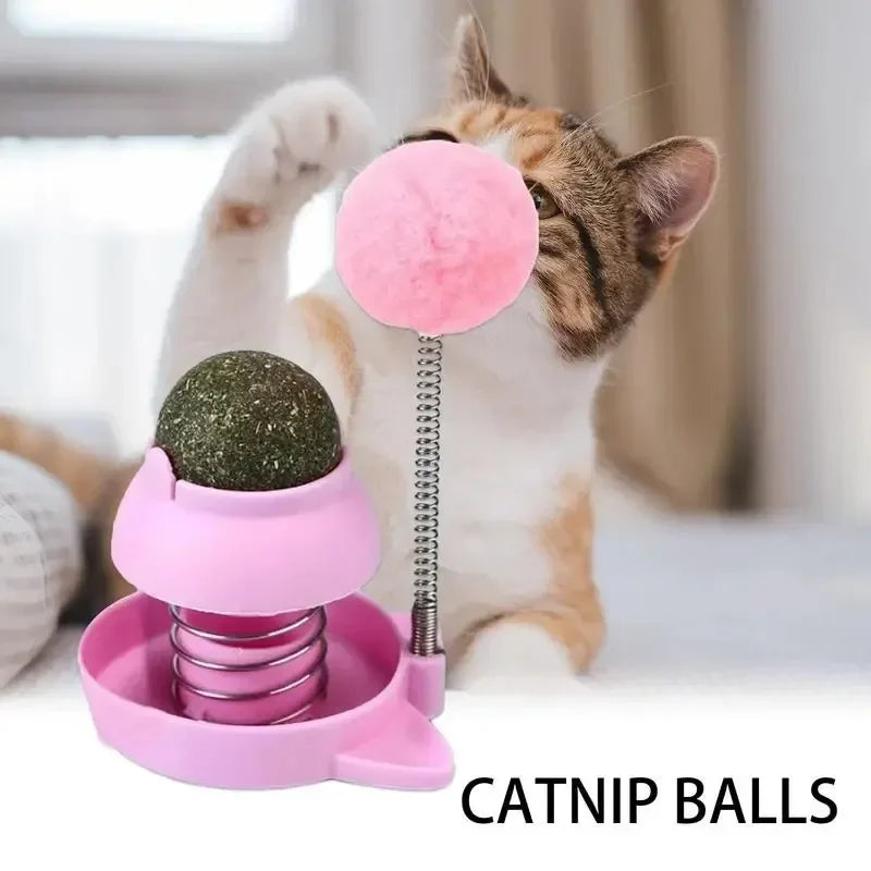 Catnip Licking Balls Edible And Healthy With Spring Toy