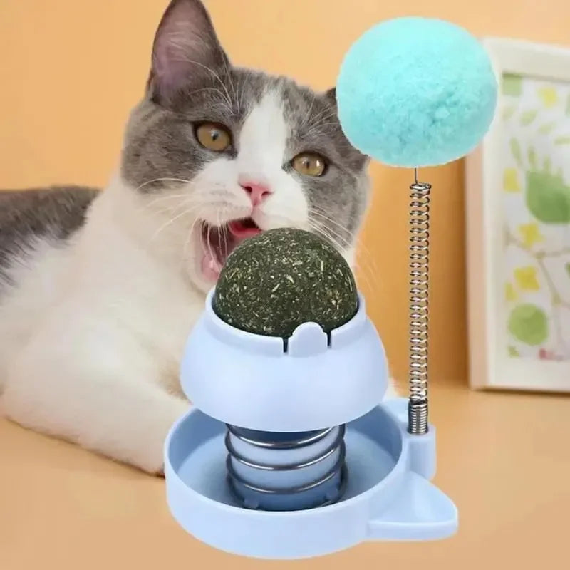 Catnip Licking Balls Edible And Healthy With Spring Toy