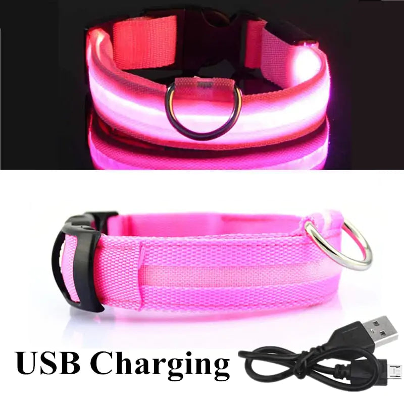 Adjustable LED Pet Collar Rechargeable or Battery Operated