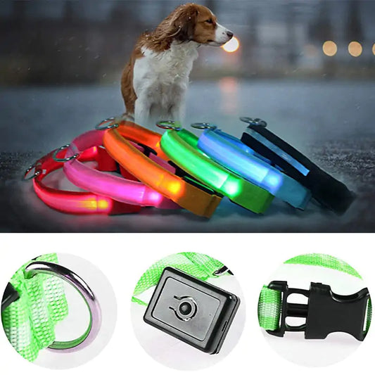 Adjustable LED Pet Collar Rechargeable or Battery Operated