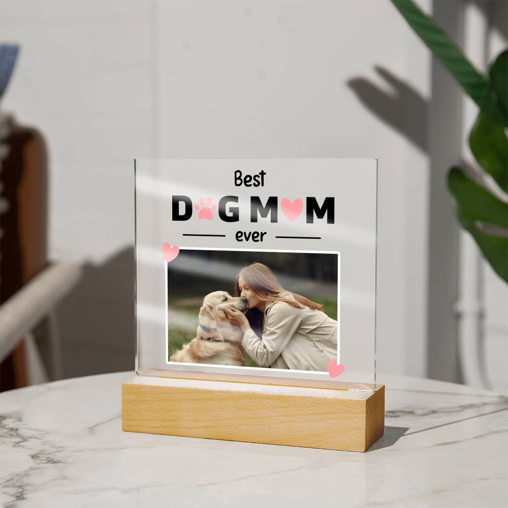 Square Acrylic Plaque - Best Dog Mom Ever