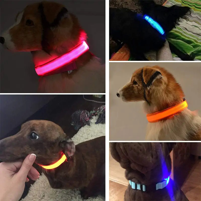 Adjustable LED Pet Collar Rechargeable or Battery Operated