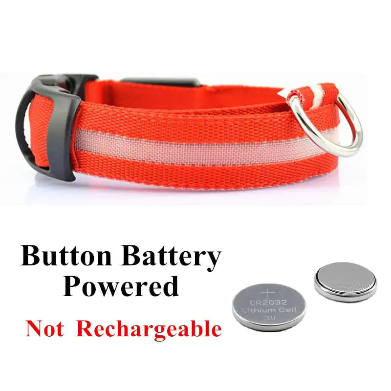 Adjustable LED Pet Collar Rechargeable or Battery Operated