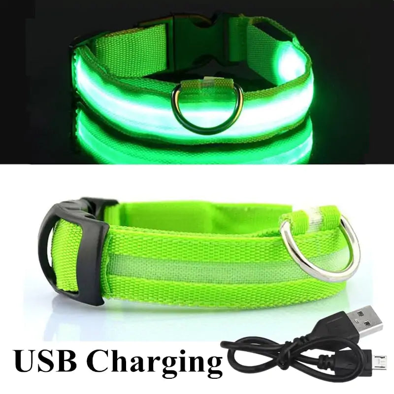 Adjustable LED Pet Collar Rechargeable or Battery Operated