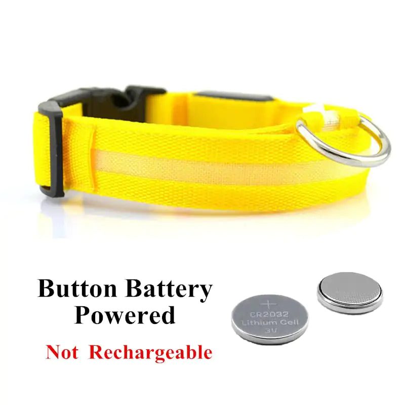 Adjustable LED Pet Collar Rechargeable or Battery Operated