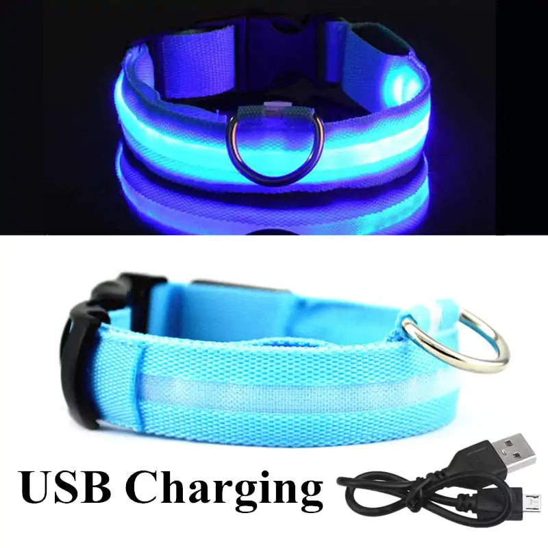 Adjustable LED Pet Collar Rechargeable or Battery Operated